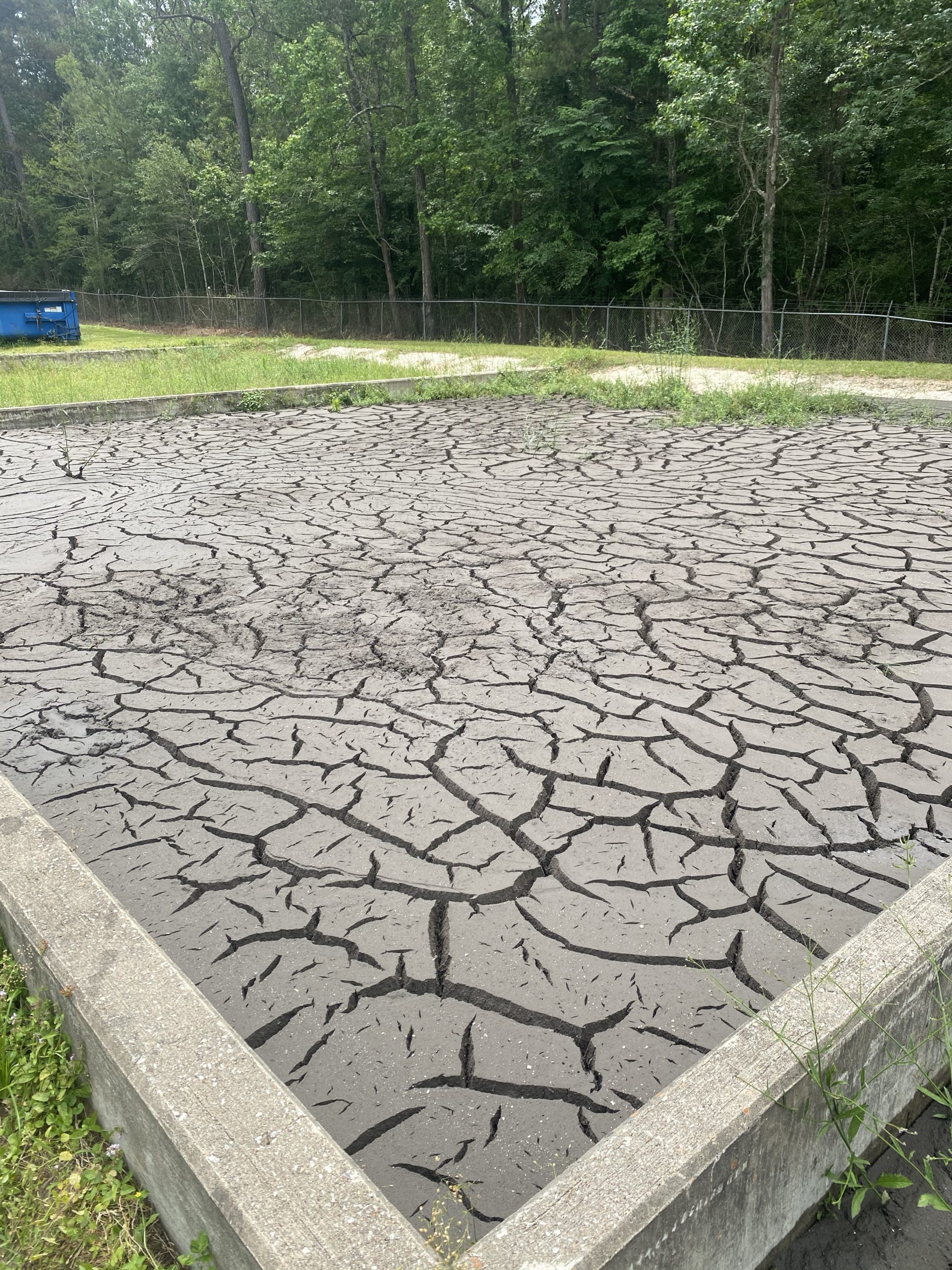Wastewater Sludge in Drying Beds